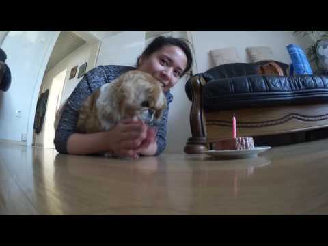 BONNY BABY HAT GEBURTSTAG! 16.10.2016 - DynamitesLife