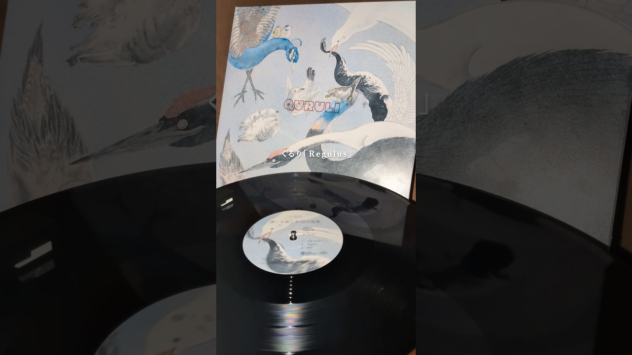 3/25(水)にアルバム「儚くも美しき12の変奏」のアナログ盤が発売になります🕊2枚組の重量盤で、モノラルのプレイヤーでもふくよかな音質をお楽しみいただけます☺♩Regulus #くるり #変12