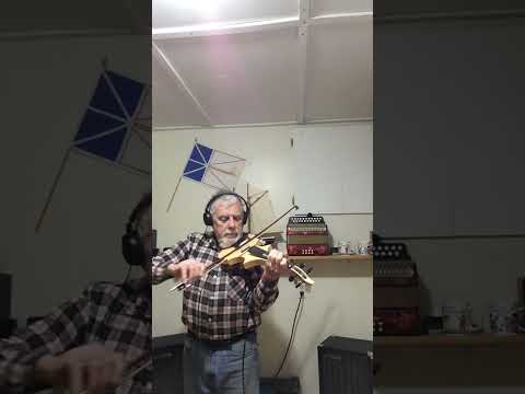 leigh violin. 4/4 handmade electric with frets image 7