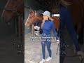 Great Tip For Hand Grazing Horses Horse