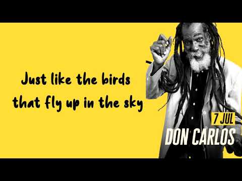 7 DAYS A WEEK - DON CARLOS LYRICAL VIDEO