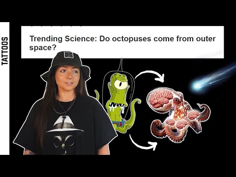 Do scientists think octopuses are ALIENS?? | Lindsay Nikole