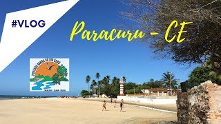 Passarinhando em Paracuru- CE AVES MIGRATÓRIAS