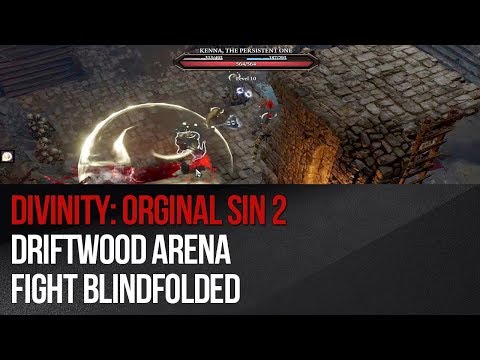 Divinity: Original Sin 2 - Driftwood Arena Fight (Blindfolded)