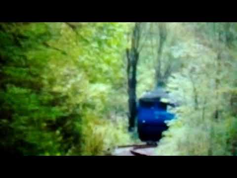 GM 65-0990-5 cu un Mecanic de treabă în Vadu Crișului (06.03.2014).