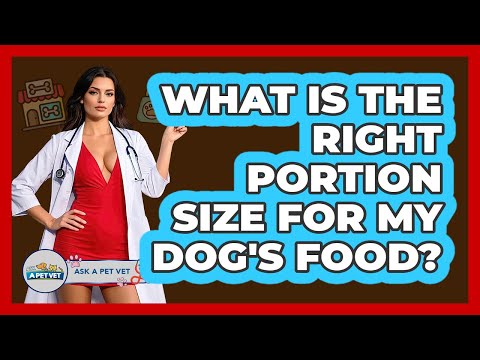 What Is The Right Portion Size For My Dog's Food? - Ask A Pet Vet
