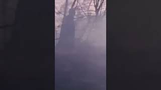 Cuts You Up - Peter Murphy