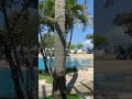 Food Porn And Views Kuta Bali Indonesia Shorts Plssubscribe