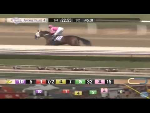 02.11.2013 Santa Anita Park (USA) 04.Race Breeders´Cup Juvenile Fillies Stakes2013 - Group I 1.770 m