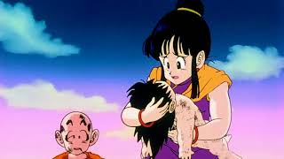 Chichi doesnt care about Goku but Bulma does - DBZ