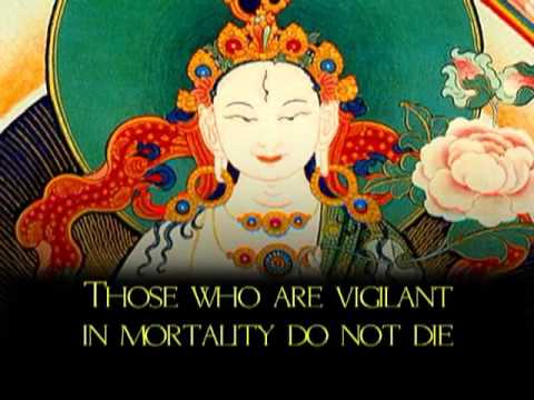 Buddhismus entdecken Modul 8 - Eine tägliche Übung aufbauen