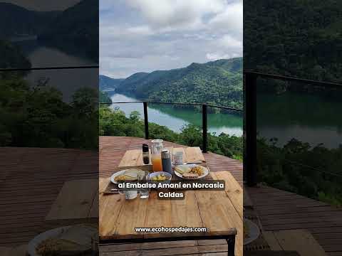 Servicio de hospedaje en ecohoteles, glamping, alquiler de fincas, casas y cabañas