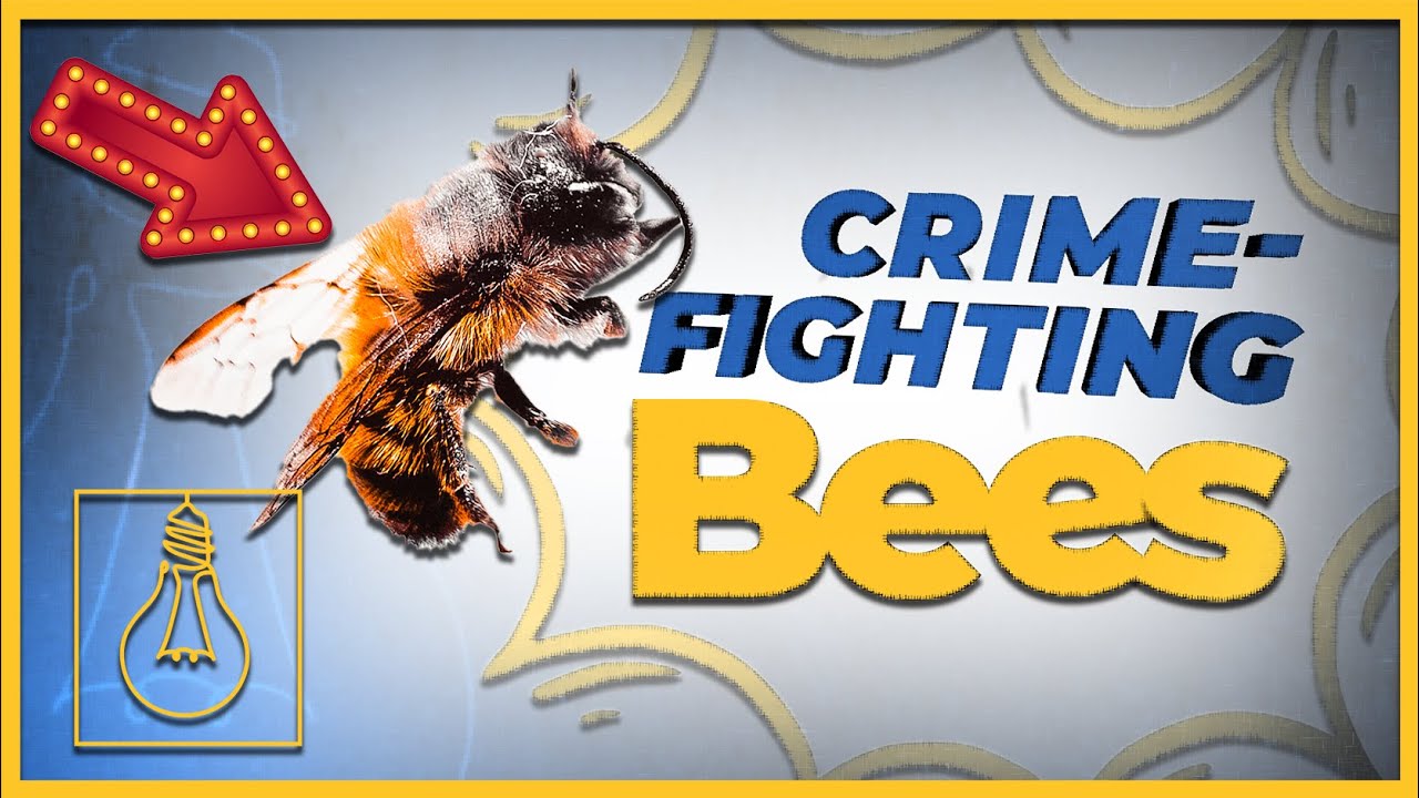 End of Life Solutions | How Bees are Helping Solve Murders