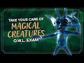 Would You Pass Your Care Of Magical Creatures Exam
