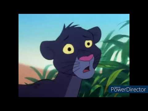 Jungle Cubs: Embarrassment Colony