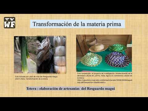 Transformaciones de resguardo de magui - Ricaurte Nariño