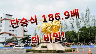 단승식 186.9배 의 숨겨진 비밀!!!