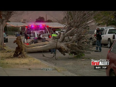 High wind topples tree onto car in northeast El Paso