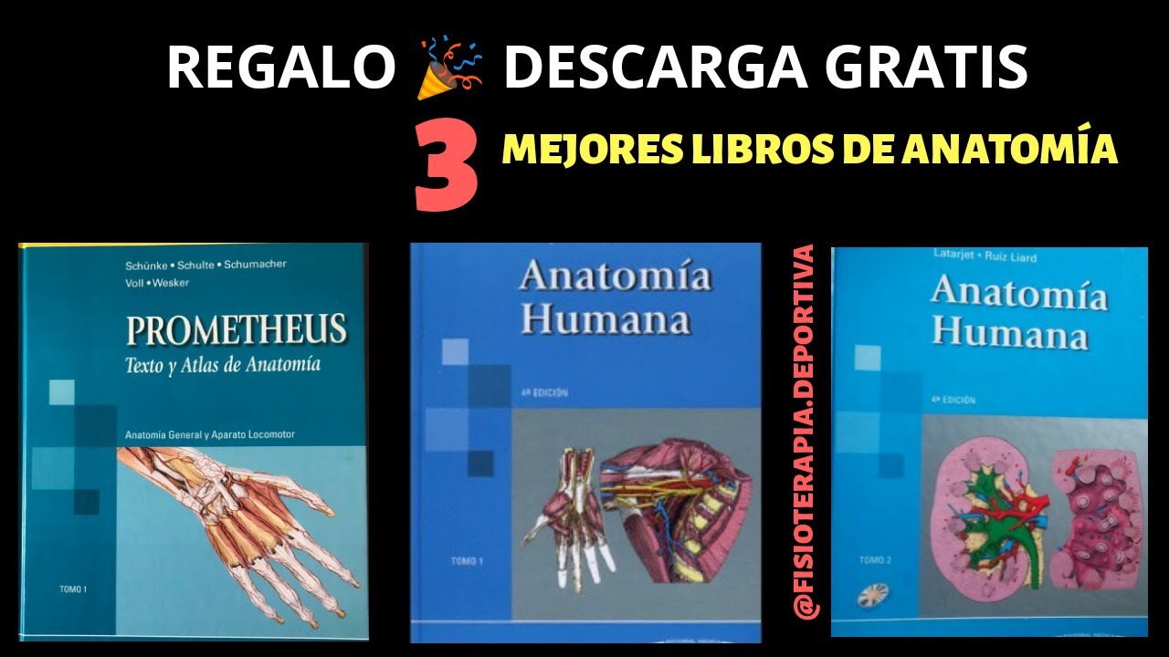 3 Mejores LIBROS DE ANATOMÍA HUMANA (PDF para descargar GRATIS🔥)