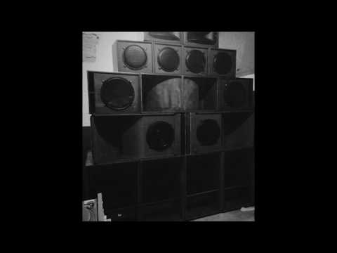 eek erkan reggae section - Roots Radics meets Scientist