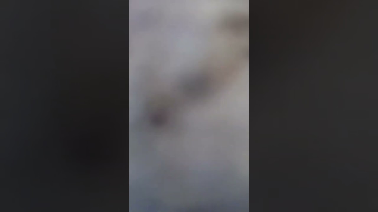 this camera LITERALLY caught that wreck…