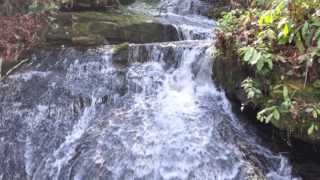 River Runs: Chuck Owen & The Jazz Surge