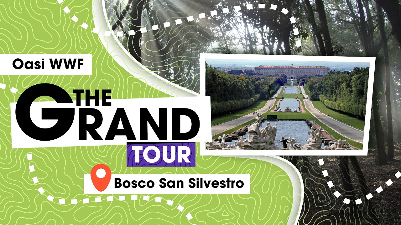 Bosco San Silvestro, la vicinanza con la Reggia di Caserta