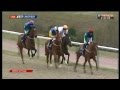 1/20 shot Triple Dip gets beaten at Lingfield 