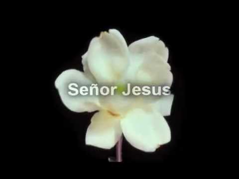 Renova-me video