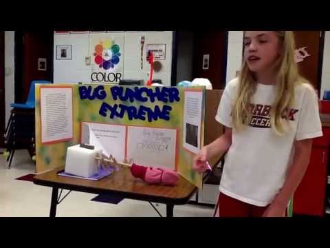 Allie the Inventor-Bug Puncher Extreme