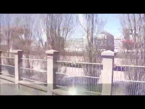 0845 🇵🇹 Matosinhos 🚌 STCP 2950 bus 2953, line 500: Matosinhos ➙ Porto