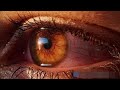 Mujhe Raat Din Bus Mujhe Chahati Ho WhatsApp Status