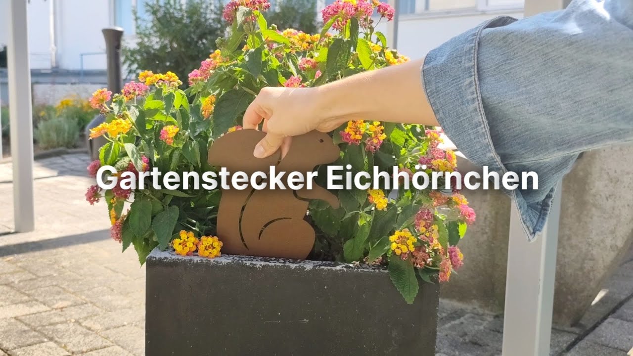 Gartenstecker | Eichhörnchen | Schwarz Video