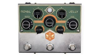 Beetronics FX Royal Jelly - What To Know & Where To Buy | Equipboard