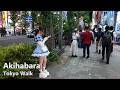 Akihabara Night Walk Tokyo S Anime And Maid Cafe District Tokyo 4K