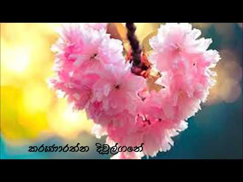 Karunarathne Divulgane...Jeewithaya ohe yana...(ජීවිතය ඔහේ යන හුදකලා මාවතේ.. )