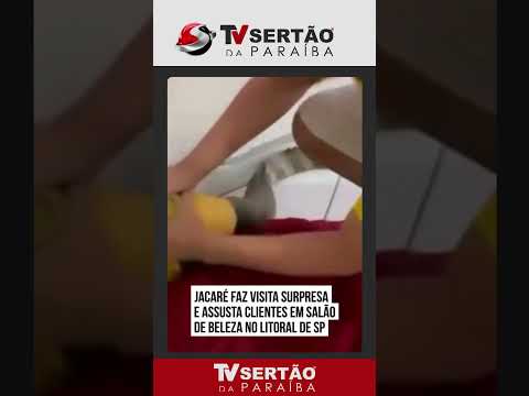 Visita inesperada: jacaré aparece em salão de beleza e surpreende clientes