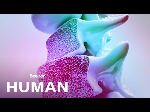 This Is How Your Body Makes New Blood