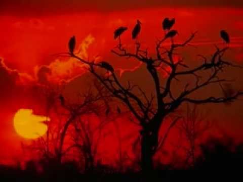 Un Día Más - Joan Manuel Serrat