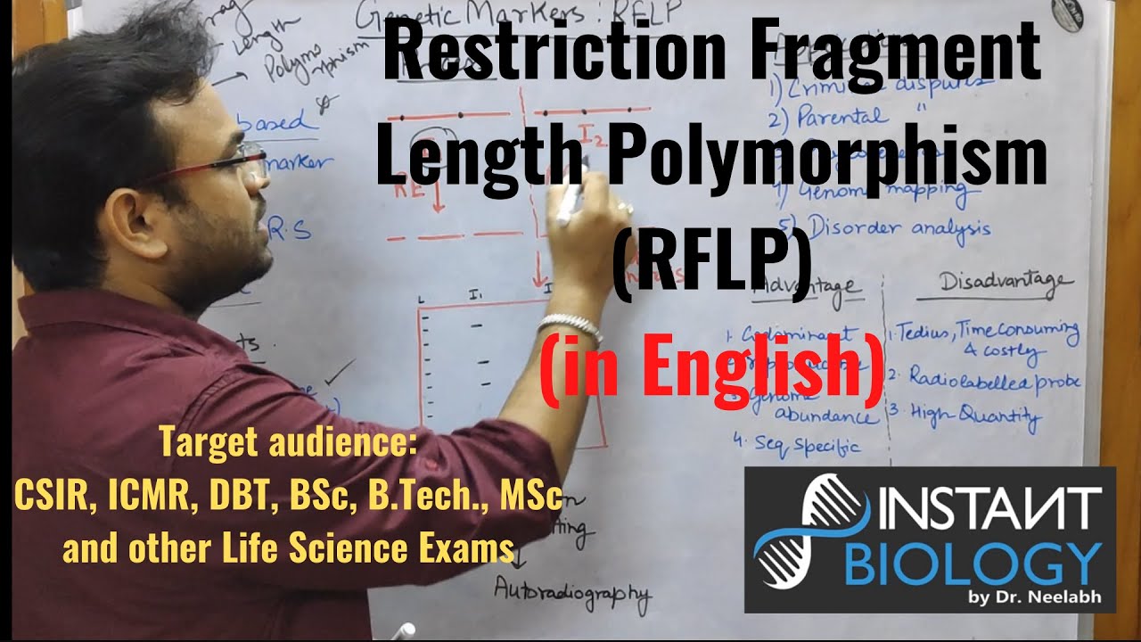 Restriction Fragment Length Polymorphism (RFLP)