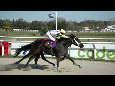 230722 c08 - EL THOR - HIPODROMO LAS PIEDRAS