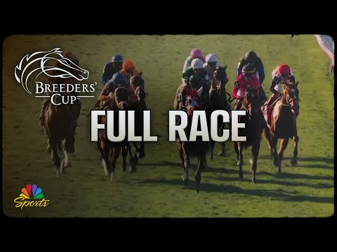 2023ブリーダーズカップ　馬主向け案内状 社台ファーム JRA レア非売品 結果 | 2025ブリーダーズカップジュベナイルフィリーズターフ | JRA