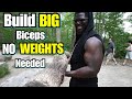 Build Big Biceps Without Any WEIGHTS