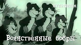 Воинственные бобры (1939)