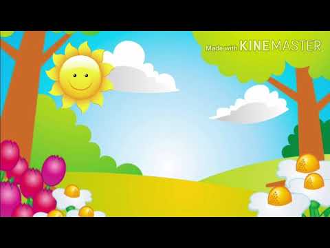 Música: O Gato Xadrez - Elvira Drummond