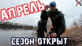Ловли окуня в апреле на отводной поводок монтаж снасти для