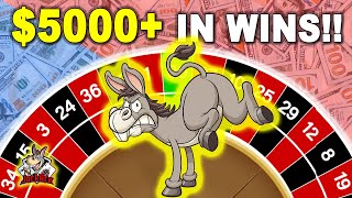 Viewer Up $5000! Low Risk Donkey Kick Roulette System Review thumbnail