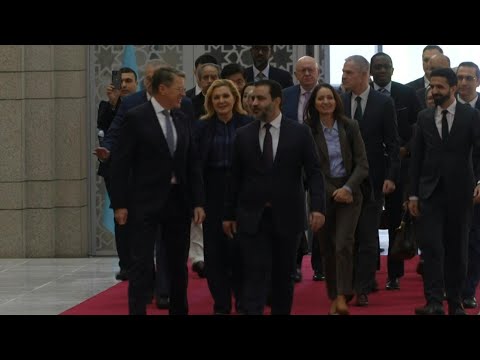 Video | UN Security Council delegation arrives to meet Syrian president | AFP