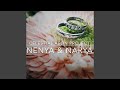 Narya