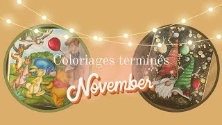 Coloriages terminés novembre 2023 - Finished pages